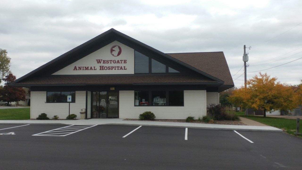 Tour Our Clinic - WESTGATE ANIMAL HOSPITAL